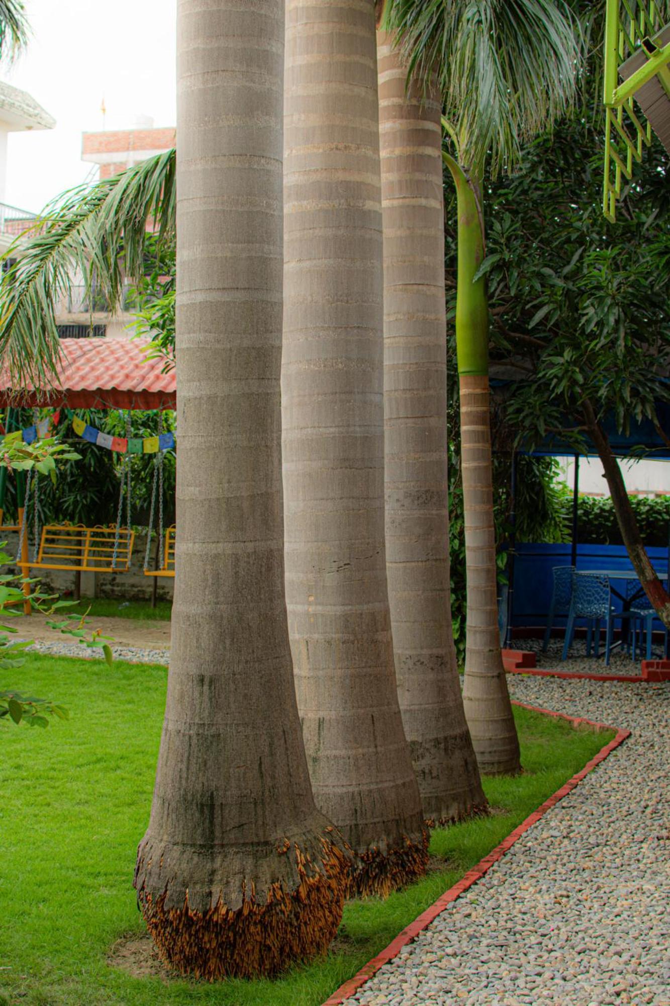 Galaxy Guest House Bhairāhawā Buitenkant foto